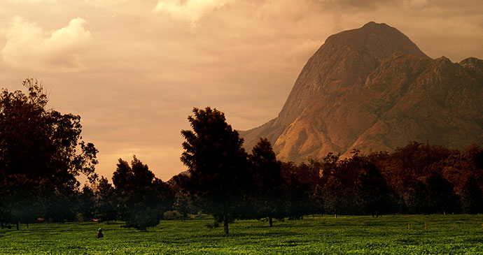 Mount Mulanje, Malawi by Dana Allen, Central African Wilderness Safaris