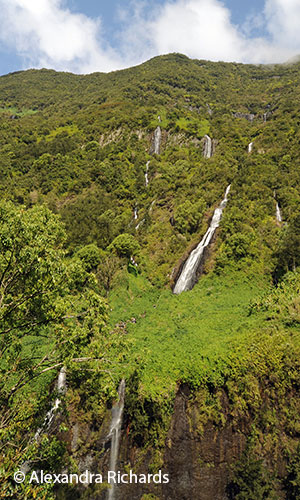 Cascade de la Voile Marriée, Salazie © Alexandra Richards