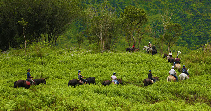 Horseriding in Réunion © Emmanual Virin/ Ile de la Réunion Tourisme