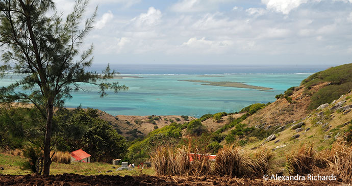 Rodrigues Mauritius by Alexandra Richards