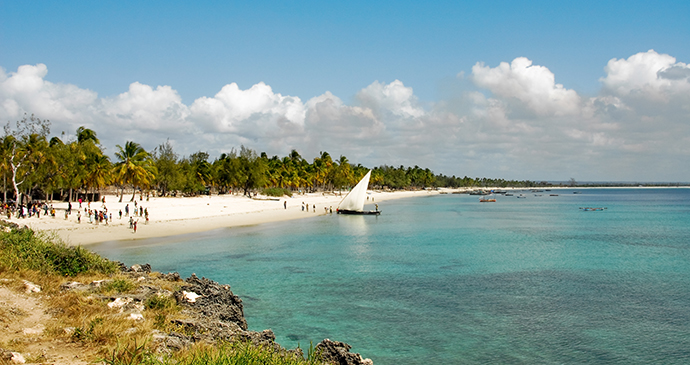 Pangane Beach Mozambique by Alberto Loyo, Shutterstock