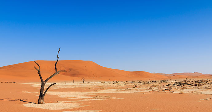 Sossusvlei Namibia by phodo, Shutterstock