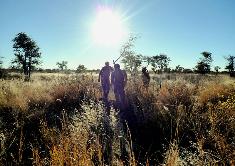 Bushmanland Namibia by David Barrie Flickr