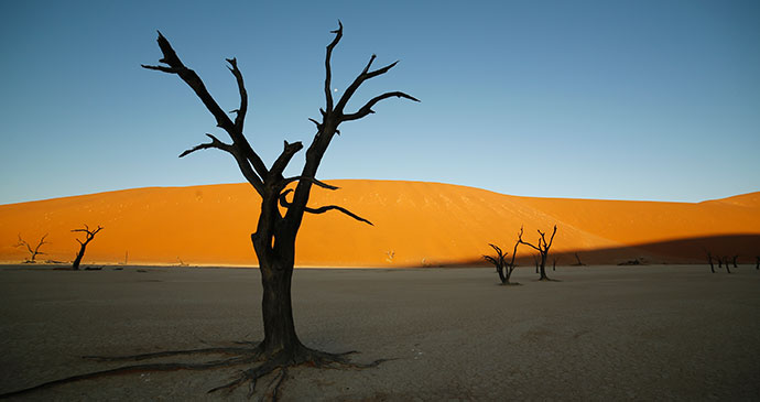 Namib Desert Namibia by Namibia Tourism