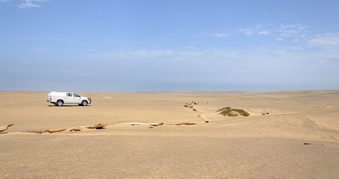 Skeleton Coast Namibia by dconvertini Flickr