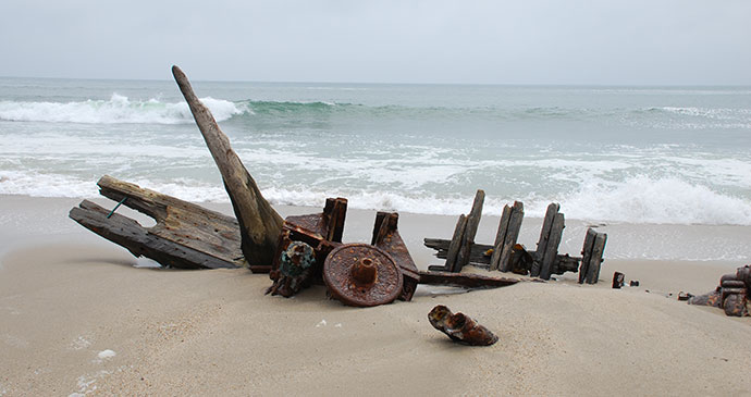 Skeleton Coast Namibia by Tricia Hayne