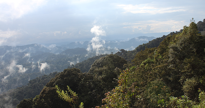 Nyungwe Forest Rwanda by Anna Moores