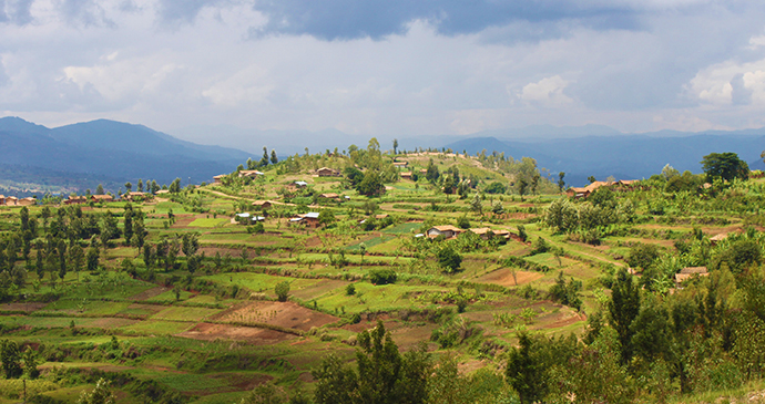 Mount Huye coffee region Rwanda by Anna Moores