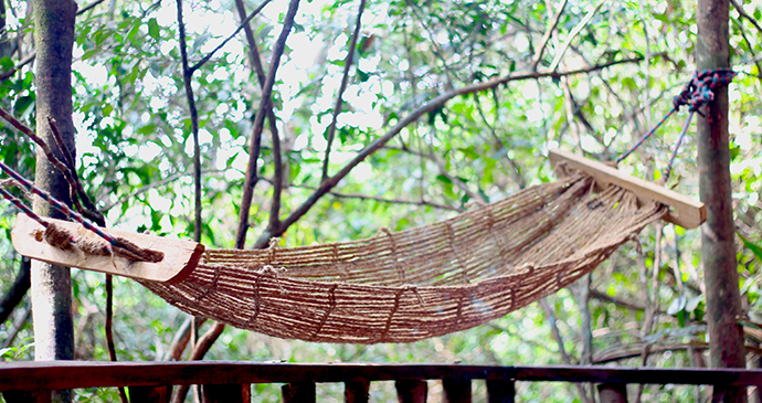 hammock at Tacugama Chimpanzee Sanctuary Sierra Leone by Dennis Jensen