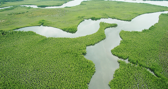 Sherbro Island in Sierra Leone by tormentor4555, Wikimedia Commons