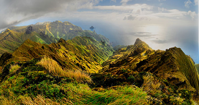 Gough Island Tristan da Cunha by Chantal Steyn