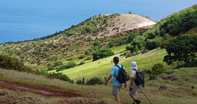 Postbox walk South West Point St Helena by Tricia Hayne