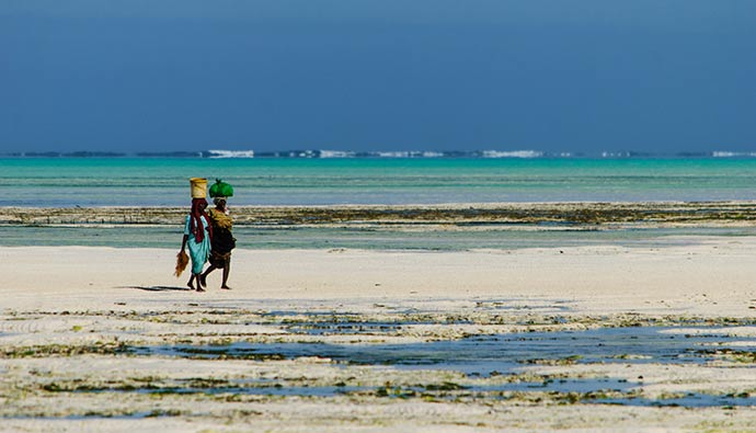 Jambiani beach Zanzibar Tanzania by David Min, Shutterstock