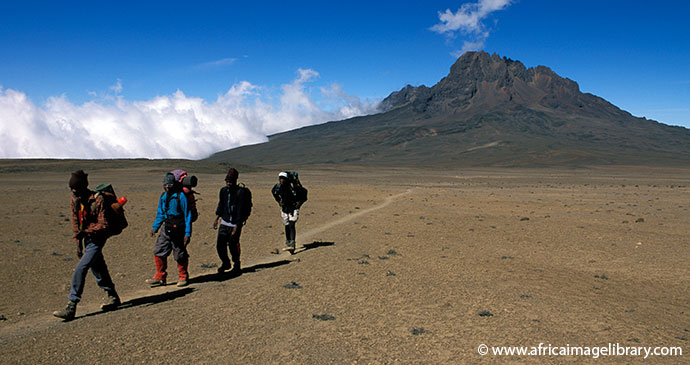 Mount Kilimanjaro Tanzania by Ariadne Van Zandbergen