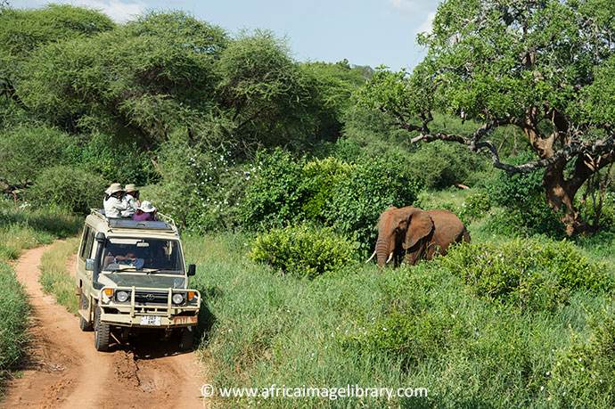 Tarangire National Park Tanzania by Ariadne Van Zandbergen