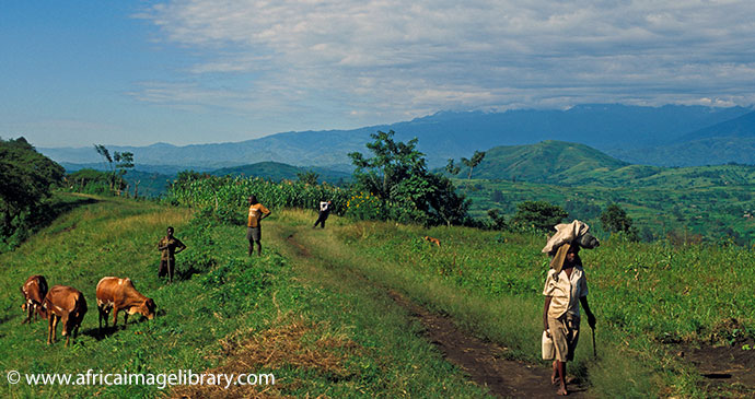 Fort Portal region Ariadne Van Zanbergen