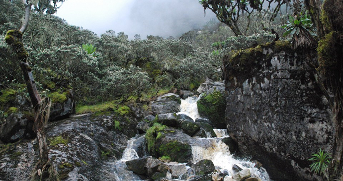 Waterfall at Rwenzori Mountains National Park, Uganda, Kombi Nation Tours