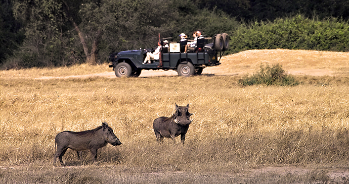 safari Lower Zambezi National Park Zambia by Stefanie Van Der Vinden, Dreamstime