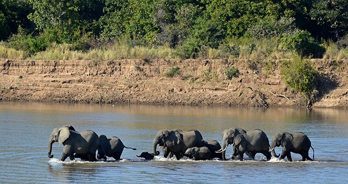 South Luangwa National Park Zambia by Geoff Gallice Wikimedia Commons