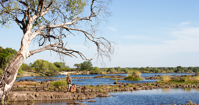 Walking safari Zimbabwe Sarah Kerr