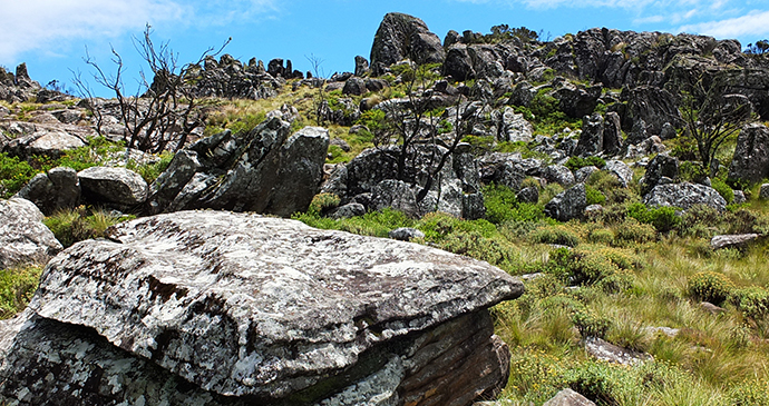 Nyanga National Park, Zimbabwe by Malgorzata Drewniak, Shutterstock