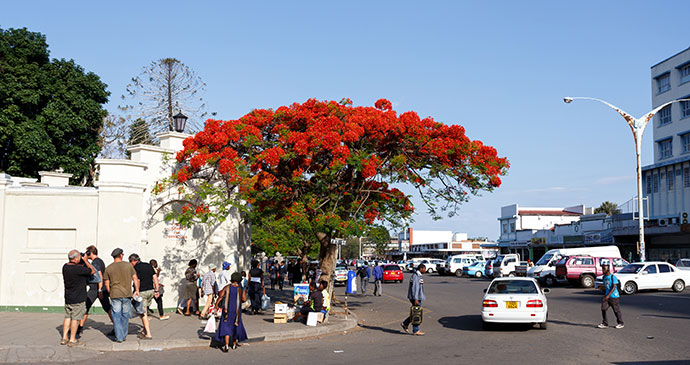Bulawayo Zimbabwe by Artush Shutterstock