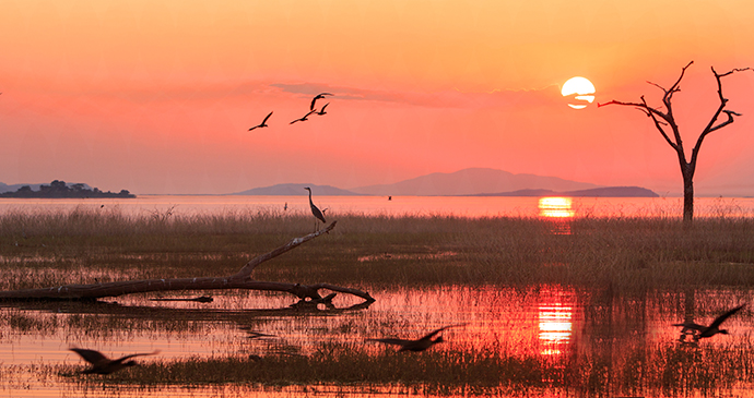 Sunset Lake Kariba Zimbabwe by Paula French Shutterstock