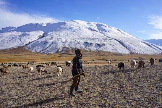 Shepherd Little Pamis Afghanistan © Jonny Duncan