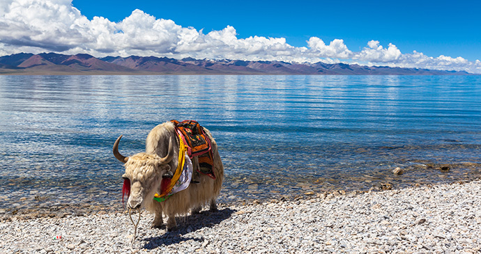 Namtso Lake Tibet China by Peter Stein, Shutterstock