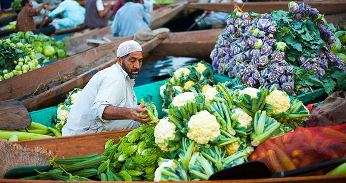 Floating Vegetable Market in Srinagar, Kashmir, India, Asia by Pius Lee Shutterstock