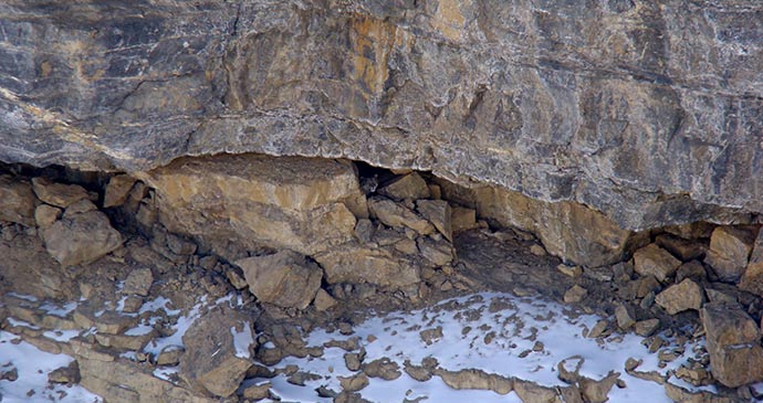 Snow leopard Hemis National Park Ladakh India by Ksuryawanshi, greatest wildlife encounters