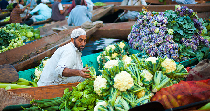 Floating market Dal Lake Srinagar Kashmir India Pius Lee Shutterstock