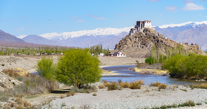 Stakna Gompa Ladakh by Blossom Tomorrow Shutterstock