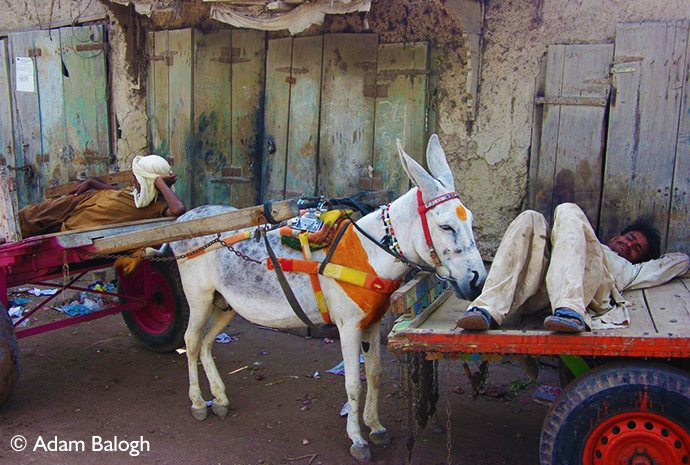 Thatta Market Pakistan by Adam Balogh