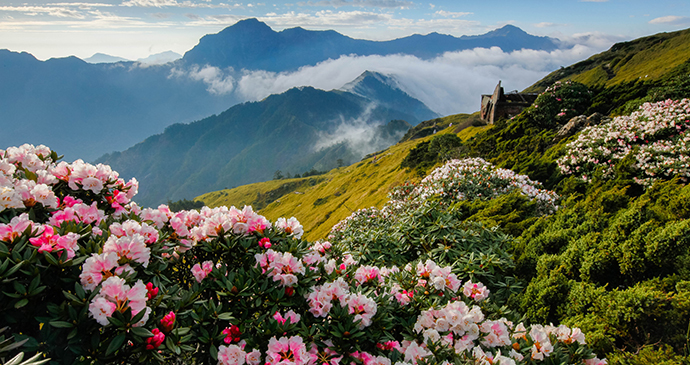 Taroko National Park Taiwan by higrace Shutterstock