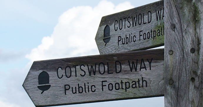 Cotswold Way, England by Caroline Mills