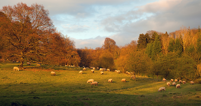 Farmland, Kiftsgate, Gloucestershire, Cotswolds, England by Andrew Roland, Dreamstime