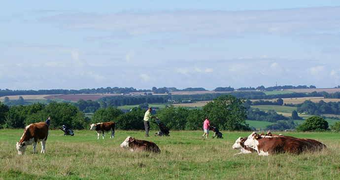 Michinhampton Common, Cotswolds, Days out, England by Caroline Mills