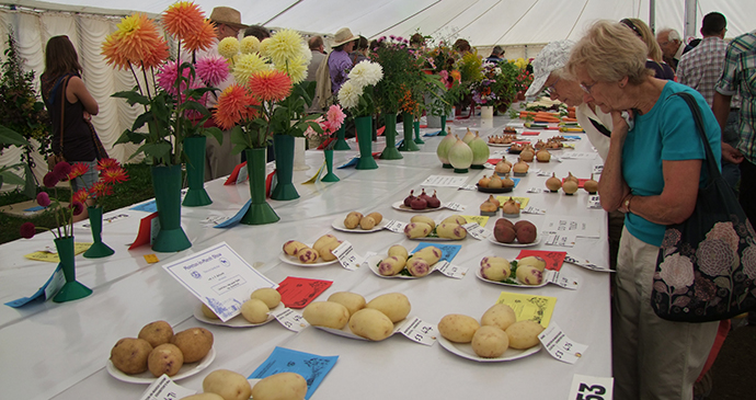 Moreton Show, Cotswolds, England by Caroline Mills