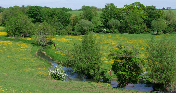 River Leach, Cotswolds, England by Caroline Mills