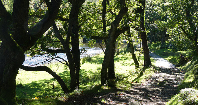 Doone Valley, Exmoor, UK by Hilary Bradt