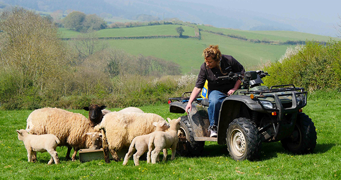 farming, Exmoor, UK by Julia Amies-Green