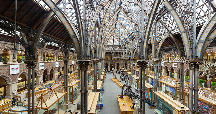 Pitt Rivers Museum Oxford UK by Diliff, Wikimedia Commons