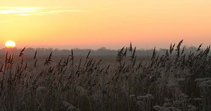 Otmoor Oxford England UK by Danny Chapman, Flickr