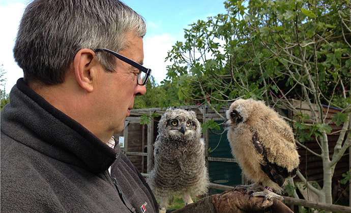 Exmoor Owl & Hawk Centre Somerset by Exmoor Owl & Hawk Centre best family days out somerset