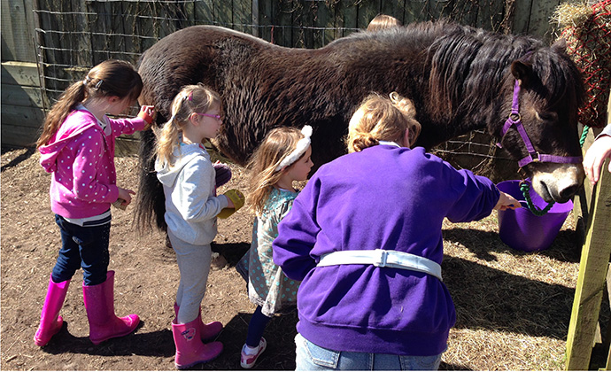 Exmoor Pony Centre Somerset by Exmoor Pony Centre