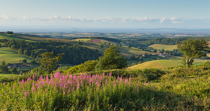 Quantock Hills Somerset by Mike Charles Shutterstock