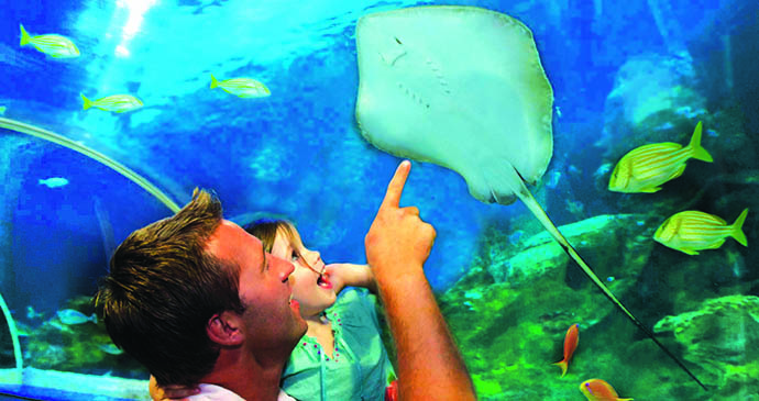 Bluereef Aquarium, Sussex, England by Blue Reef Aquarium