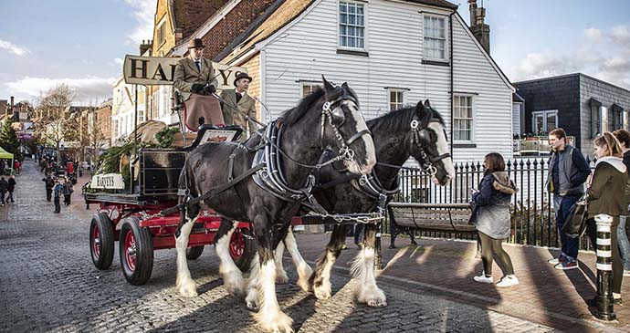 Shire horses, beer delivery, Lewes, Sussex, England by Xavier Dom Buendia