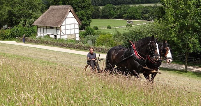 Weald and Downland Open Air Museum, Sussex, England by Weald & Downland Open Air Museum